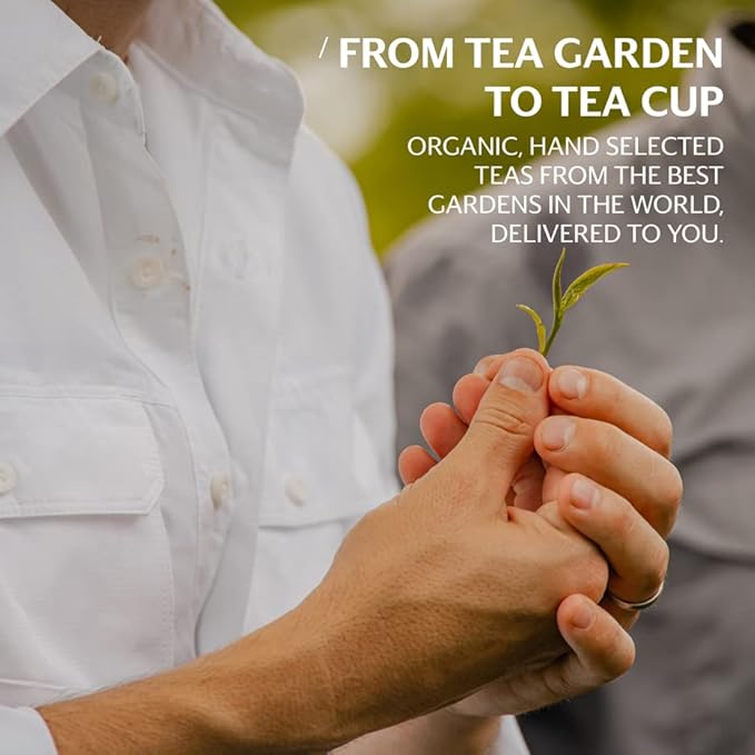 Grace Farms BREATHE Wellness Organic Tea Blend (100 Enveloped Pyramid Sachets w/ String & Tag) | Turmeric and Ginger with Adaptogenic Herbs | Immunity Support | Caffeine Free | Gives Back 100% of Profits