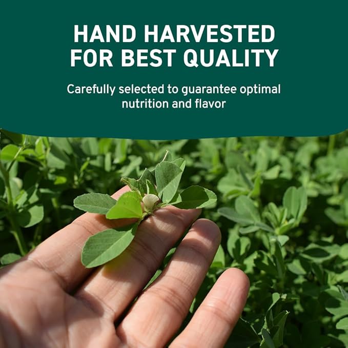 HANDPICK Fenugreek Seeds (14oz) ALL NATURAL Fenugreek - Indian Origin Whole Methi Seeds (Trigonella Foenum Graecum) Fenogreco En Semillas | Resealable Ziplock Pouch