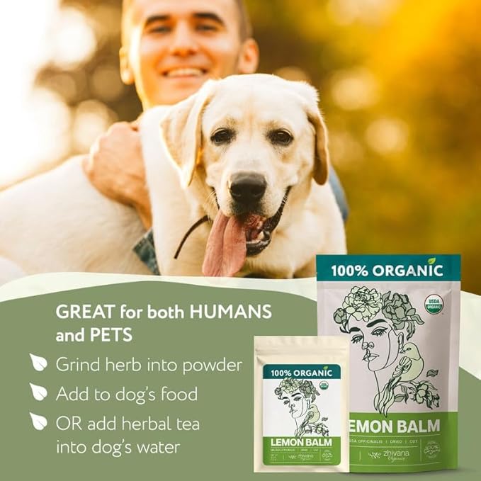 Lemon Balm Tea Organic - Lemon Balm Herb Loose Leaf - Melissa Tea, Tolonjil Tea Organic โ- Anti-Stress, Sleep, Blood Pressure, Digestion - 4 Oz