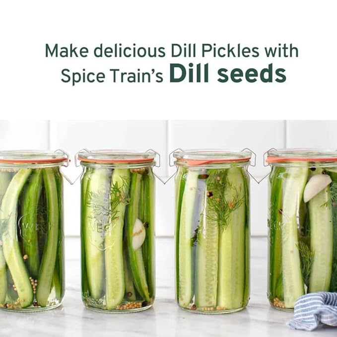 HANDPICK Dill Seeds (397g/14oz) Non GMO, Gluten Free, 100% Raw, Sourced from India, For Cooking, Drinks, Packed in Resealable Ziplock Pouch | For Pickling