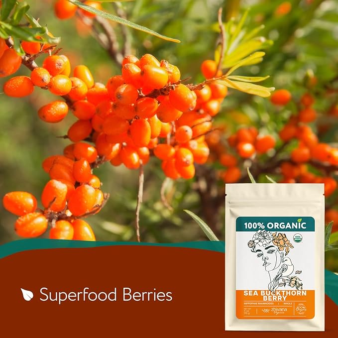 Organic Sea Buckthorn Berry โ Sea Buckthorn Tea, Dried Seaberry, Seabuckthorn โ Espino Amarillo โ Rich in Nutrients Superfood Berries for Immunity, Heart, Digestion, Liver, Skin โ 4 Ounces