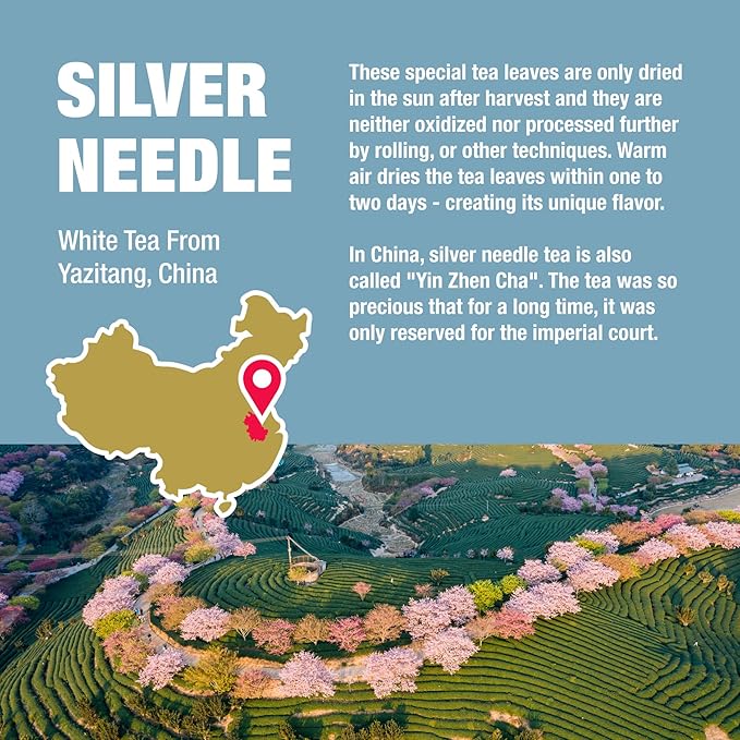 Tiesta Tea Silver Needle White Tea – Premium Loose Leaf, Single-Origin from China | Pure Unblended Low-Caffeine Tea | Hot or Cold Brew | 12oz Resealable Bulk Pouch | Brews 200 Cups