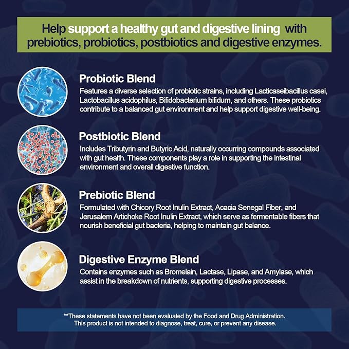 Probiotics for Digestive Health, 80 Billion CFU Probiotics, Prebiotics, Postbiotics & Digestive Enzymes, Gut Health Capsules with Berberine, Cinnamon, L-Glutamine, for Men & Women, 240 Counts
