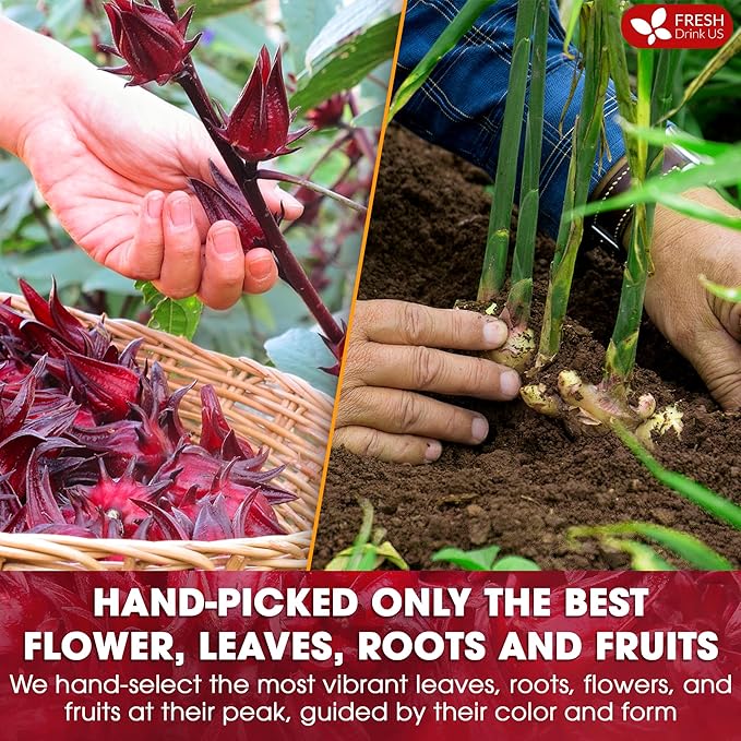 FreshDrinkUS, 60 Tea Bags Super Hibiscus Heart Blend– Herbal Tea with Hibiscus Flower, Ginger, Cinnamon Stick, Lemongrass & Rose Hip – Naturally Caffeine-Free, Sugar-Free, Vegan