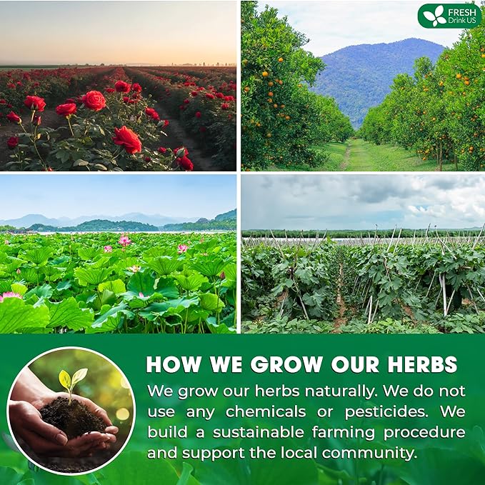 FRESHDRINKUS, 20 Packs of Oil Reducing Tea, Oil Cleansing for Liver, 10 Herbal Ingredients, Traditional Recipe Tea for Liver, 100% Natural, Easy Brewing, Steep Repeatedly