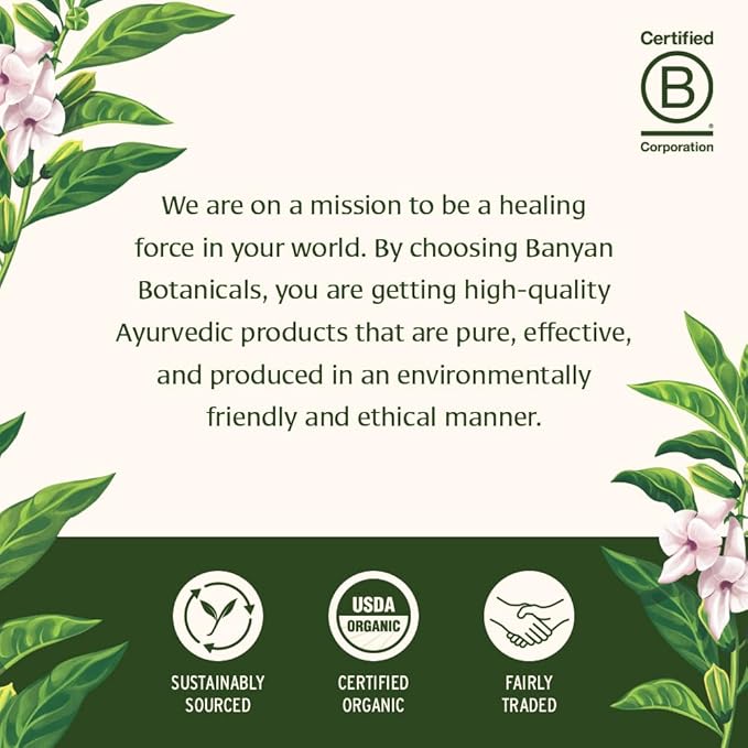 Banyan Botanicals Tulsi Echinacea Tea – Organic Immune Support Tea with Turmeric & Rosehip – Caffeine Free Tea for Healthy Immune Function* – 2 oz. – Non-GMO Sustainably Sourced Herbal Loose Leaf Tea