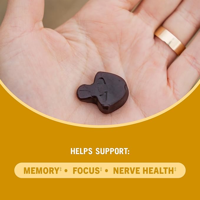 OM Mushroom Superfood Lion's Mane Gummies, 60 Count, 30 Servings, USA Grown Organic Mushrooms, Organic Nootropic Gummies for Memory, Focus and Mood