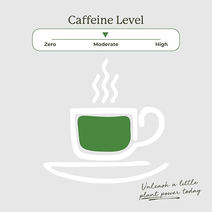 Starwest Botanicals Organic Green Tea - Caffeinated Herbal Tea, Contains Caffeine, Tea with Antioxidant Properties, USDA Organic Green Tea Leaf, Non GMO - Bulk Pack, 100 Tea Bags