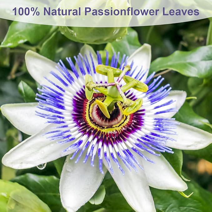 TEARELAE - Passion Flower Tea, 50 Count - Pure Passionflowers Leaves Tea Bags - Pasiflora Tea for Relaxation & Sleep- Non-GMO - Caffeine-Free