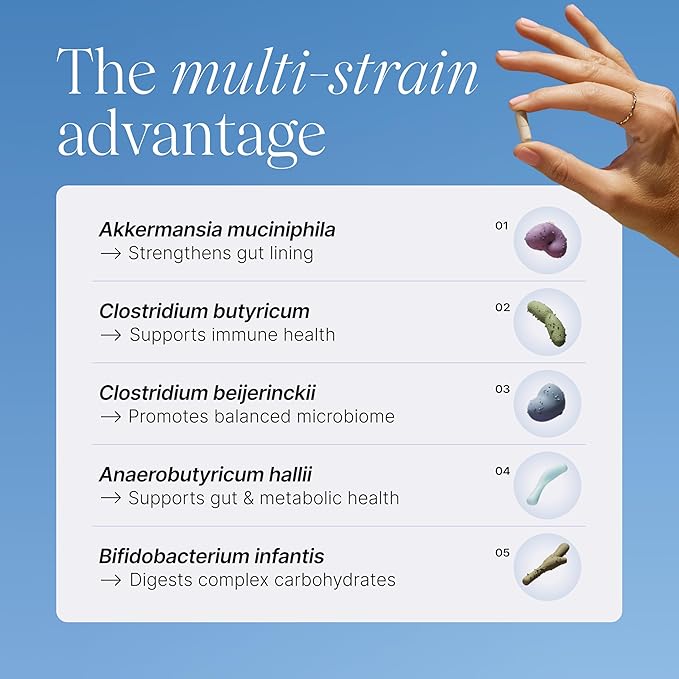 Pendulum Metabolic Daily - Multi-Strain Probiotic with Akkermansia muciniphila to Support Metabolism and Sustain Energy Levels - for Women and Men - 90 Capsules (1 Pack)