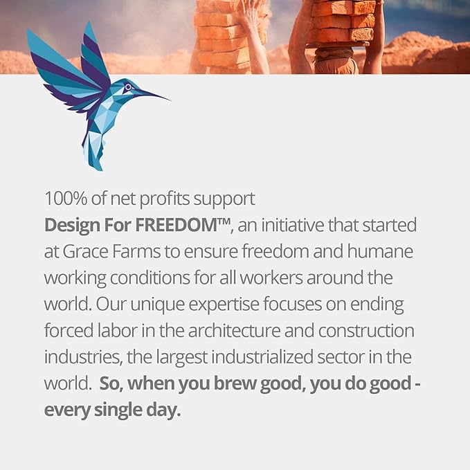 Grace Farms REVIVE Wellness Organic Tea Blend (100 Enveloped Pyramid Sachets w/ String & Tag) | Yerba Mate, Green Tea, & Adaptogens | Natural Energy Coffee Replacement | Fairtrade & Kosher | Gives Back 100% of Profits