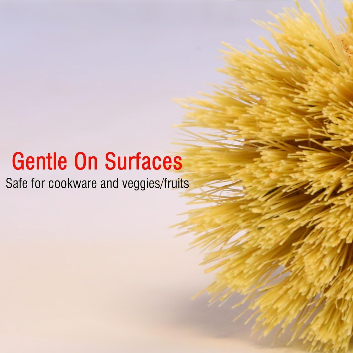 Natural Bristle Dish Brush Set, 1 Wooden Dish Brush and 1 Bamboo Dish Brush with 1 Bamboo Drainer Tray, All Circle Kitchen Scrub Brush for Dishes