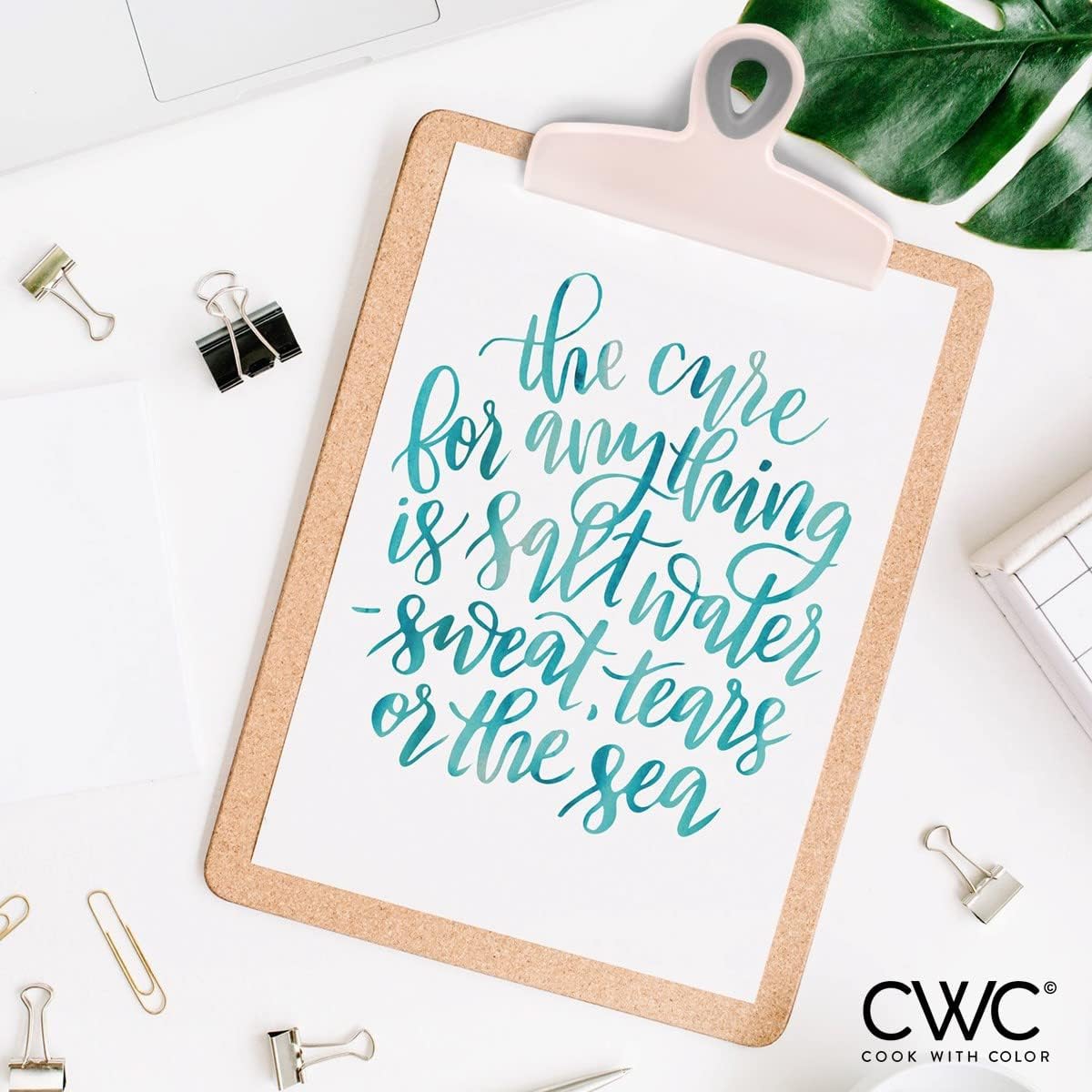 COOK WITH COLOR Bag Clips - Heavy Duty Chip Clip and Refrigerator Magnet Clips for Food Storage with Air Tight Seal Grip, Multi, Pack of 8