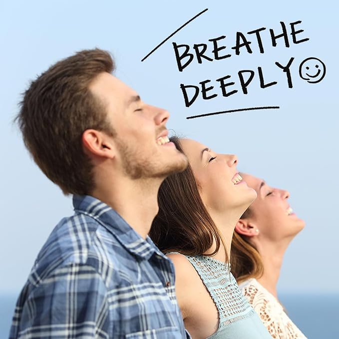 TEARELAE - Mullein Tea Bags For Lungs - 2.65 oz/75g (3g X 25 Bags) - 100% Pure Natural Premium Mullein Leaf Tea - Non-GMO - Caffeine-free - Good For Respiratory System