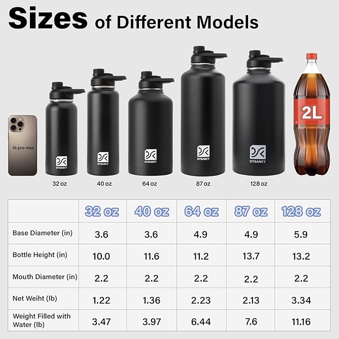 1 Gallon Water Bottle Insulated | Thickened Stainless Steel Vacuum Metal Water Jug | Portable Sports Large for Gym and Hiking with Straw, Carrier Bag, Handle Strap | BPA-Free 128 oz