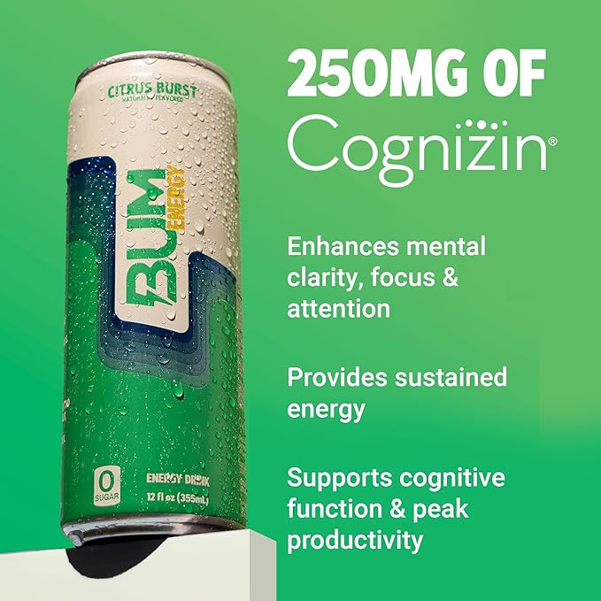 BUM Sugar-Free Energy Drink, Citrus Burst - Lightly Carbonated & No Artificial Colors, Natural Caffeine & Citicoline for Energy & Focus, Brain Boost & Workout Sports Beverage - 12 oz, Pack of 12