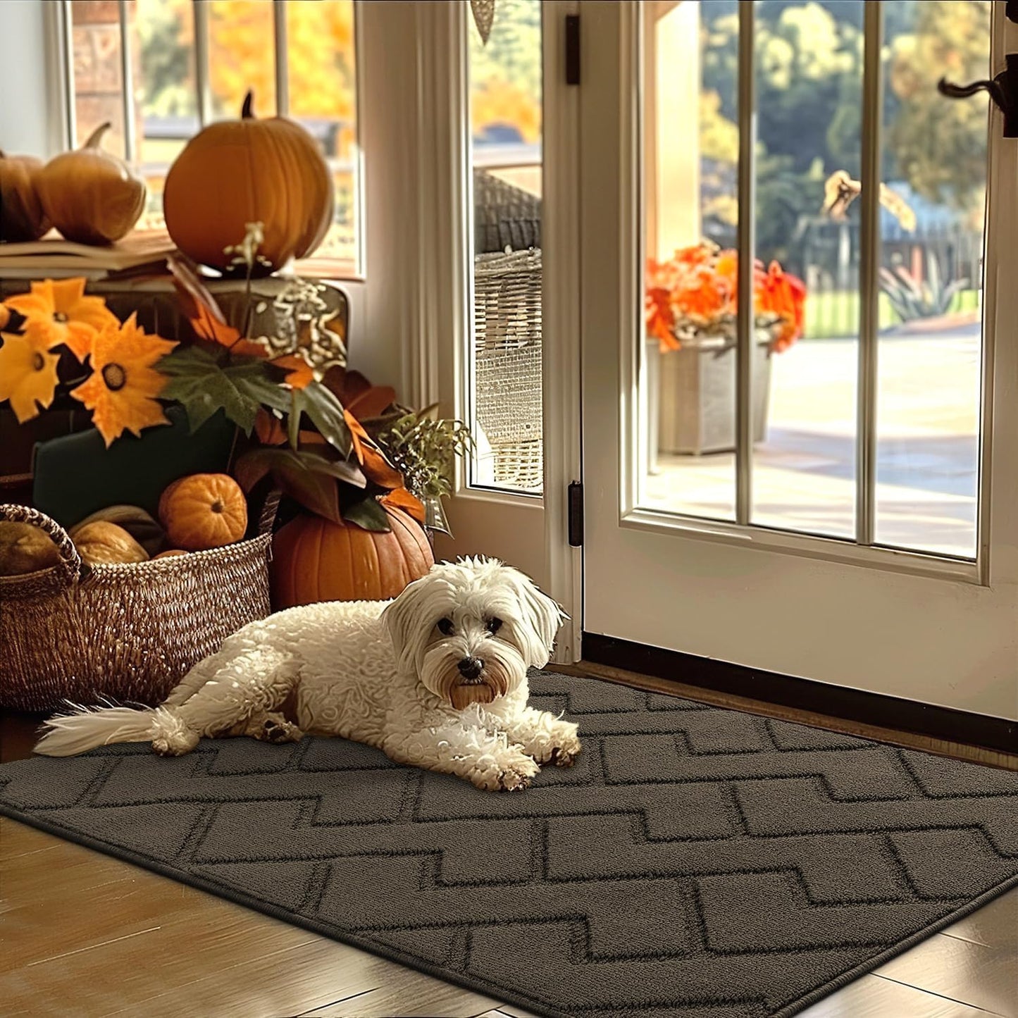 hicorfe Indoor Door Mat,Non Slip Door Mats,32"x48" Front Back Door Mat Rubber Backing,Absorbent Resist Dirt Entrance Inside Floor Mats for Entryway Washable Low-Profile(Latte)