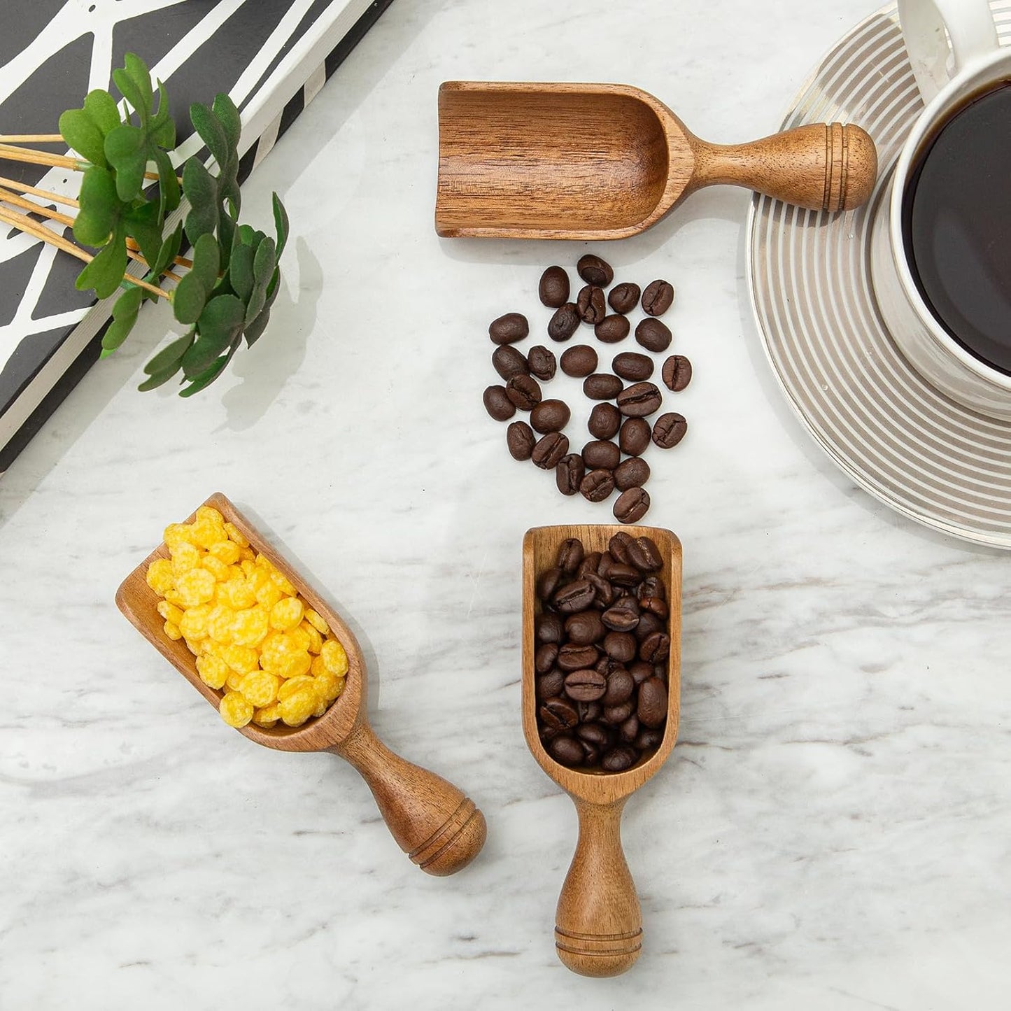 Wooden Scoops for Canisters 3PCS Wooden Scoop for Jars Acacia Mini Measuring Spoons for Ground Coffee Scoops Shovel Kitchen Scooping for Tea Powder & Bath Salt Laundry Detergent Shove- Multipurpose