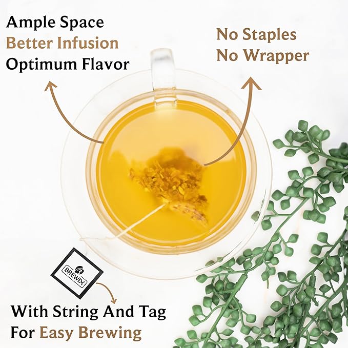 BREWIX, Turmeric Ginger Herbal Tea Bags (50 Pyramid Tea Bags) Caffeine-Free Ayurvedic Blend for Daily Wellness & Immune Balance | Daily Wellness Ritual | Gluten Free | Real Ingredients From India
