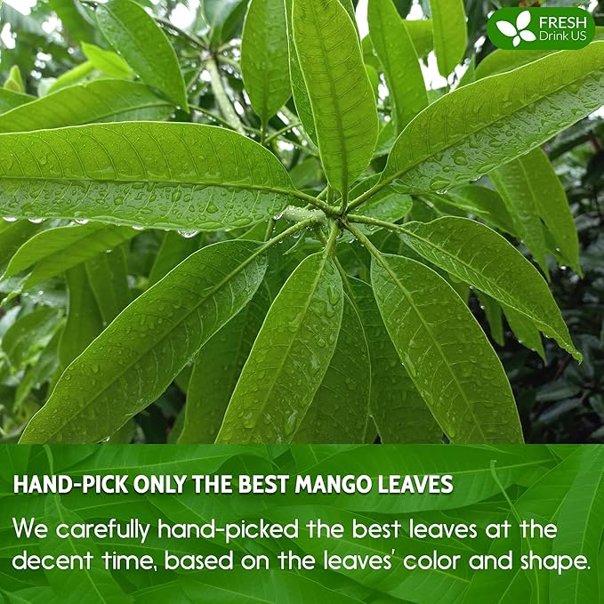 FreshDrinkUS Premium 60 Mango Leaf Tea Bags, 100% Natural & Pure. Loose Leaf Herbal Tea. No Sugar, No Caffeine, No Gluten, Vegan