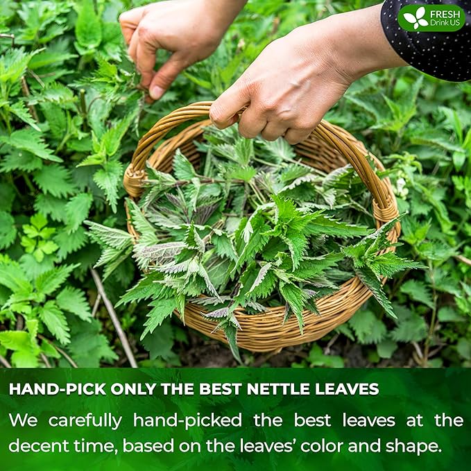 FreshDrinkUS, Premium 135 Nettle Leaf Tea Bags, 100% Natural & Pure, Stinging Nettle Leaf Tea, Nettle Leaf Tea, Burn Nettle, Stinging Nettle, Nettle Tea, Stinger Tea, No Sugar/ Caffeine & Gluten, Vegan