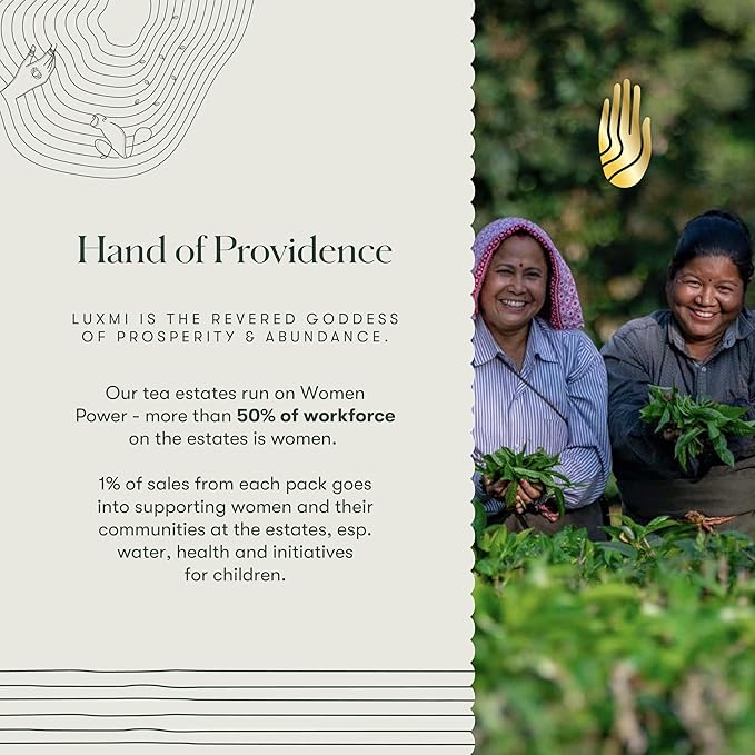 Luxmi Estates Lavender Valley Organic Loose Leaf Tea, (25g) Darjeeling Makaibari White Tea, Low Caffeine, Sleep Function Tea