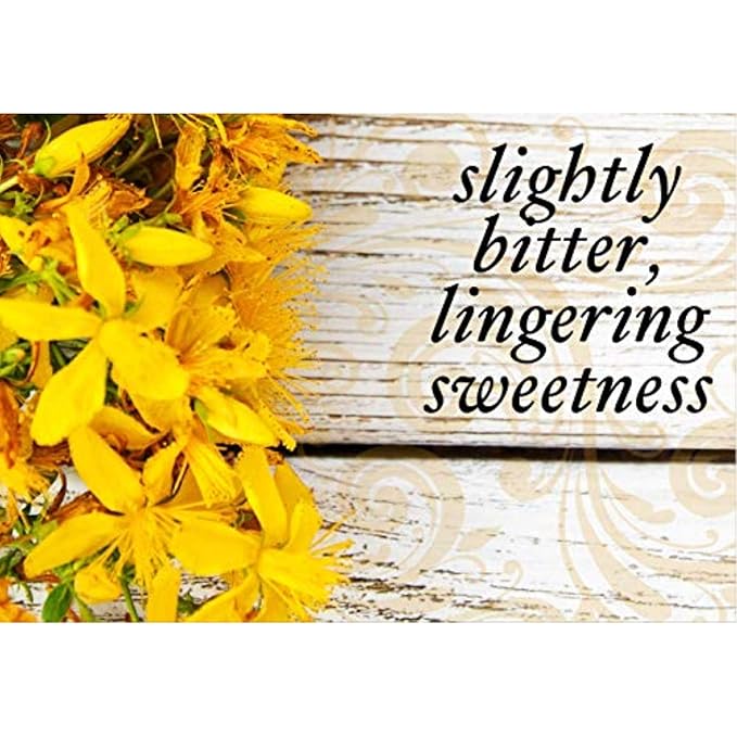 Buddha Teas Organic St. John's Wort Tea - Kosher, Caffeine-Free, GMO-Free - 18 Bleach-Free Tea Bags 1