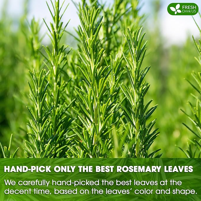 FreshDrinkUS, Premium 135 Rosemary Leaf Tea Bags, 100% Natural and Pure Rosemary Dried Leaves, Pure Rosemary Herbal Tea, No Additives, No Caffeine, No Gluten, Vegan. (135 Tea Bags)