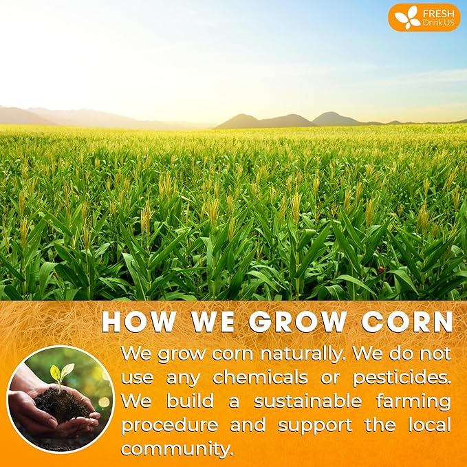 FreshDrinkUS, Premium 40 Tea Bags Corn Silk Tea, 100% Natural & Pure from Corn Silk. Corn Silk Herbal Tea. Clean Ingredients. Made with Natural Material Tea Bags. No Sugar, No Caffeine, Vegan. (40 Tea bags Corn Silk)