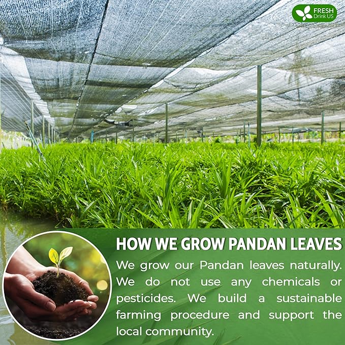 FreshDrinkUS, Premium 15 Pandan Leaf Tea Bags, 100% Natural & Pure from Pandan Leaves. Loose Leaf Pandan Herbal Tea. Made with Natural Material Tea Bags. No Sugar, No Caffeine, No Gluten, Vegan. (15 Tea bags)