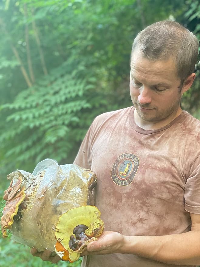 Hodgins Harvest Organic Lion’s Mane + Reishi Tincture | Made with Mushrooms Grown On Our Farm in The USA | Dual Extract | Extra-Concentrated (4 fl oz)