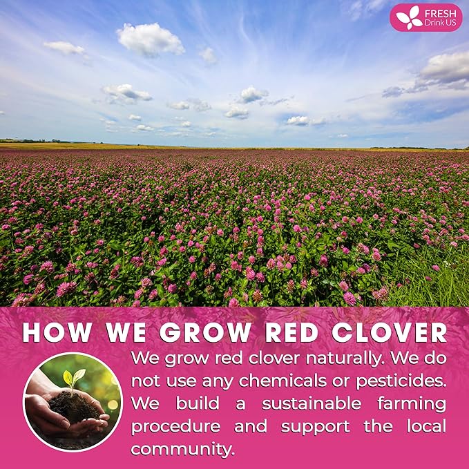 FreshDrinkUS, Premium Red Clover Herbal Tea– 75 Tea Bags – Pure – Naturally Smooth & Mild Flavor – Premium Quality, Eco-Conscious Packaging. Caffeine-Free. Gluten Free. Vegan
