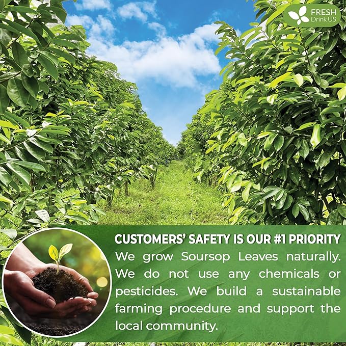 FreshDrinkUS, 15 Premium Soursop Graviola Leaf Tea Bags, 100% Natural and Pure from Soursop Leaves, Handmade, Made With Natural Materials-Corn Fiber Tea Bag, Sugar/ Caffeine/ Gluten Free, Hoja Guanabana Tea